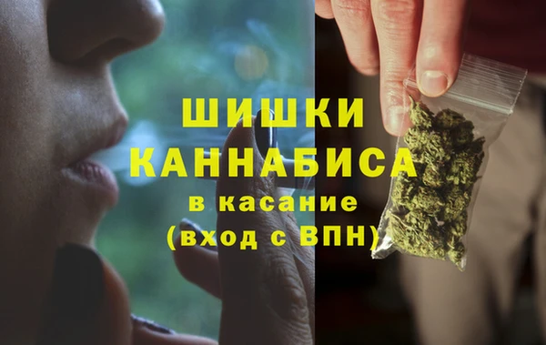 трава Арсеньев
