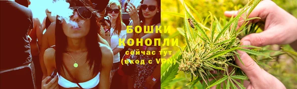 стаф Армянск