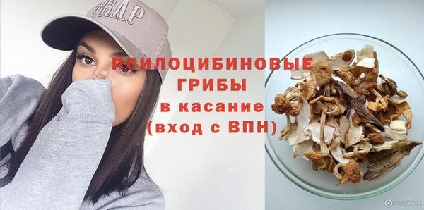трава Арсеньев