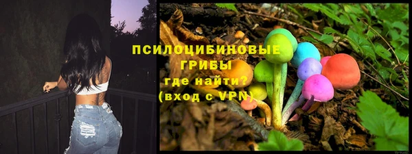 трава Арсеньев